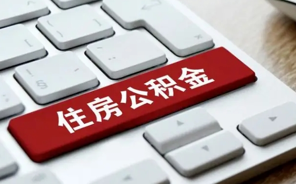 西藏公积金公司交的部分怎么提取（公积金提取公司缴纳部分）